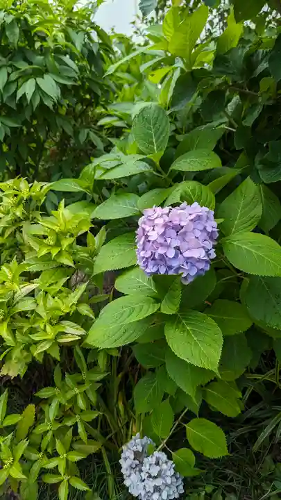 福田寺(京都府)