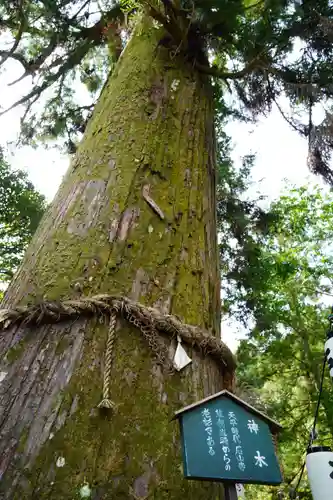 石山寺(滋賀県)