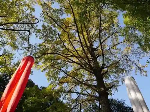 明王院（満願寺別院）の自然