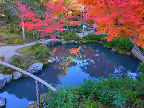 寿量山　速成寺(奈良県)