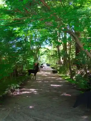 国宝　長寿寺(滋賀県)