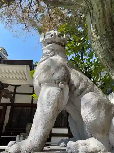 鳥越神社(東京都)
