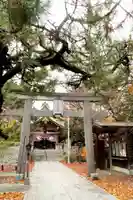 彌彦神社 (伊夜日子神社)の鳥居
