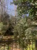 光蓮寺の本殿・本堂