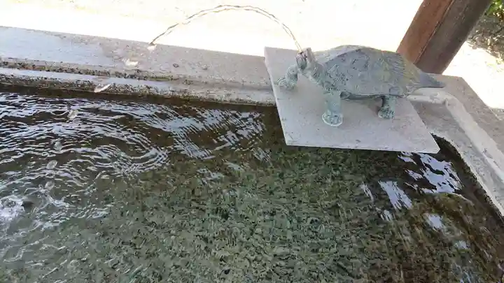八坂神社の手水舎