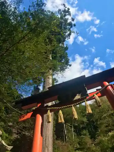 櫻木神社の鳥居