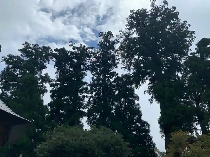 村山浅間神社(静岡県)