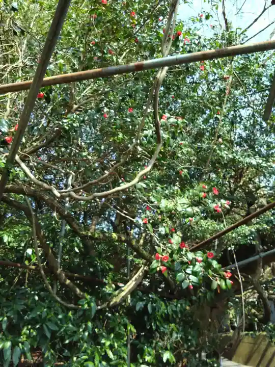 八大龍王水神(宮崎県)