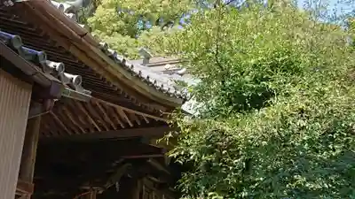 牟呂八幡宮の本殿・本堂