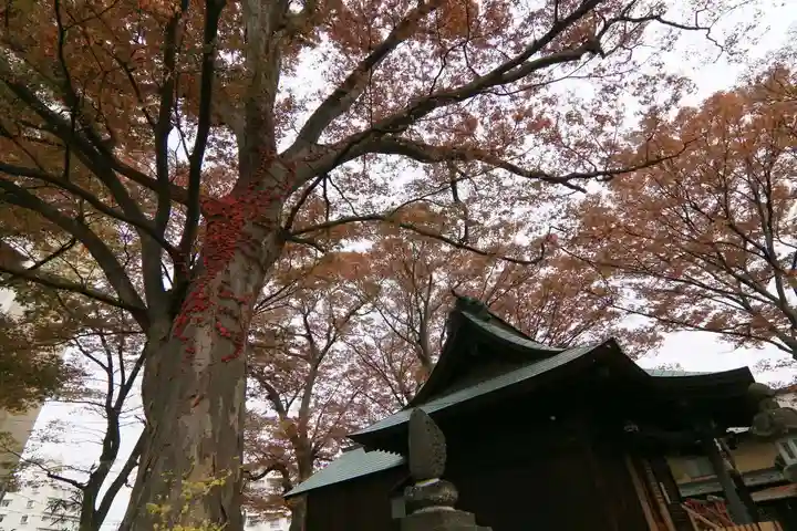 愛宕神社の本殿・本堂