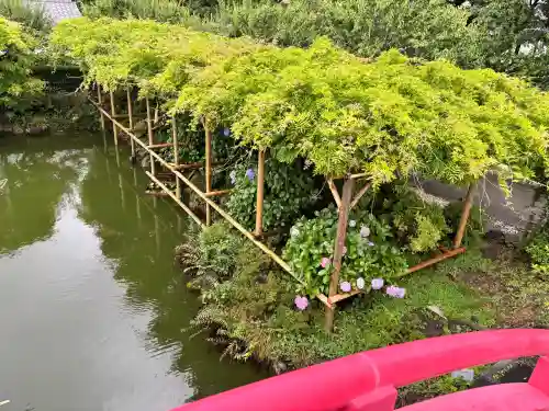亀戸天神社(東京都)