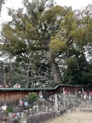 甚目寺(愛知県)