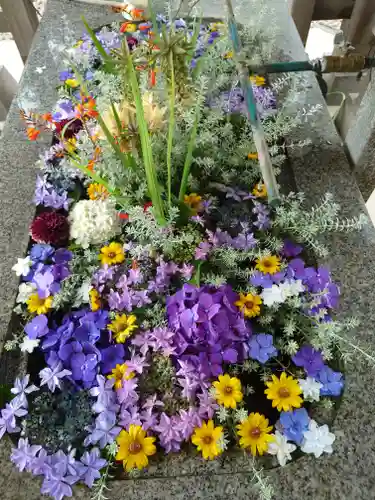 長沼八幡宮(栃木県)