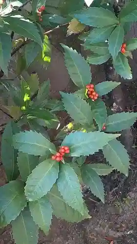 西方山極楽寺の自然