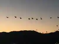 厳島神社(広島県)