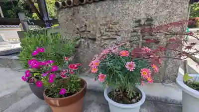 嘉祥寺(京都府)