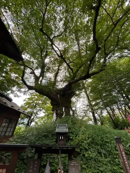 熊野皇大神社(長野県)