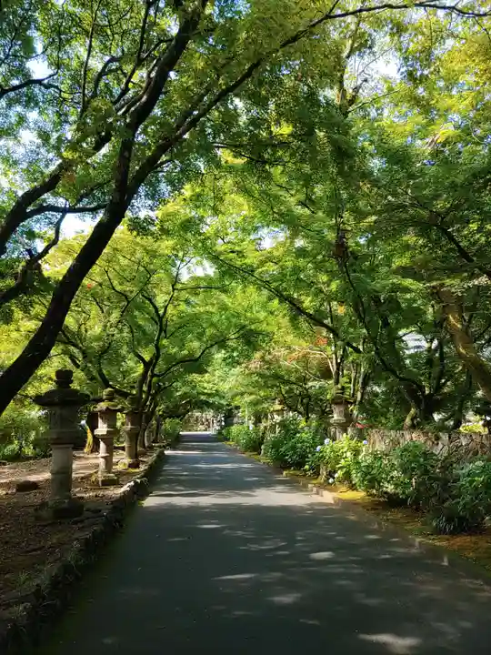 法華寺(岐阜県)