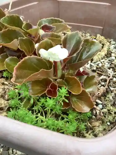 三輪神社の自然