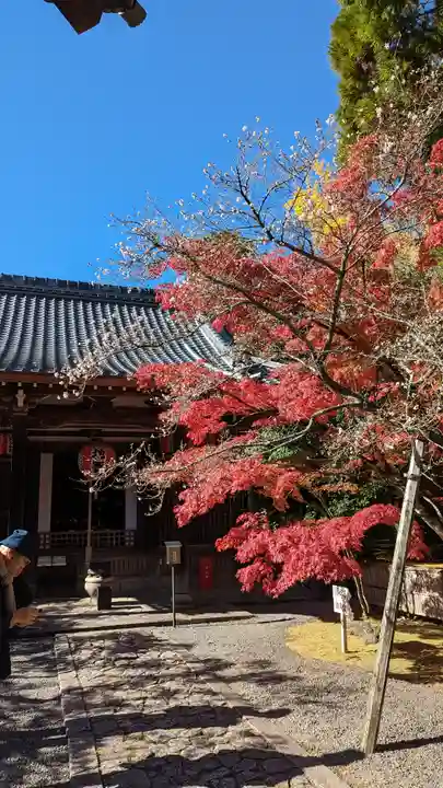 赤山禅院(京都府)