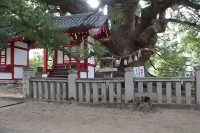 善通寺のその他建物