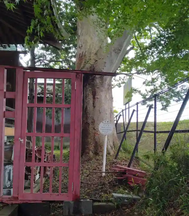 旅立稲荷神社(宮城県)