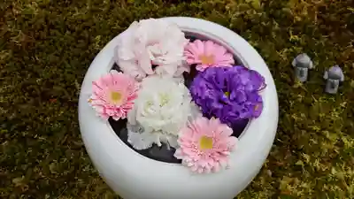 勝林寺の手水舎