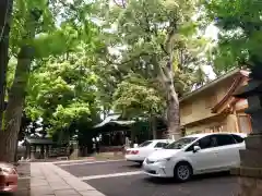 中目黒八幡神社の建物その他