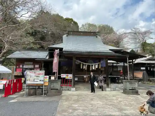 賀茂別雷神社(栃木県)
