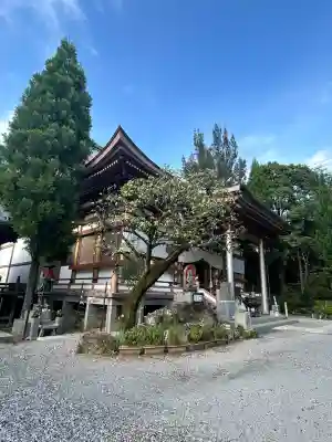 善楽寺(高知県)