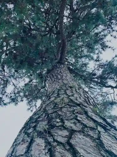 平等院(京都府)