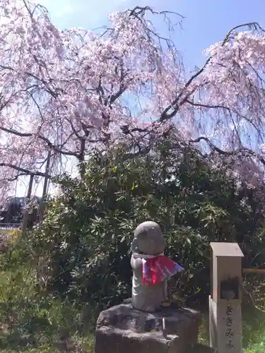 宝泉寺(京都府)