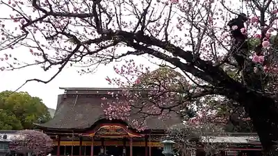 太宰府天満宮のその他建物