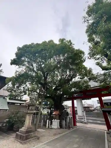 石津神社(大阪府)