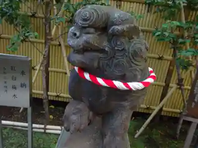 高円寺氷川神社の狛犬