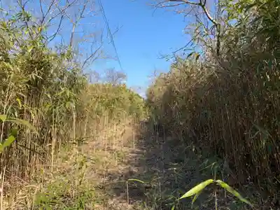 稲荷神社(千葉県)