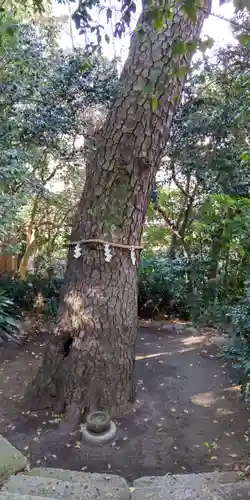 第六天神社(神奈川県)