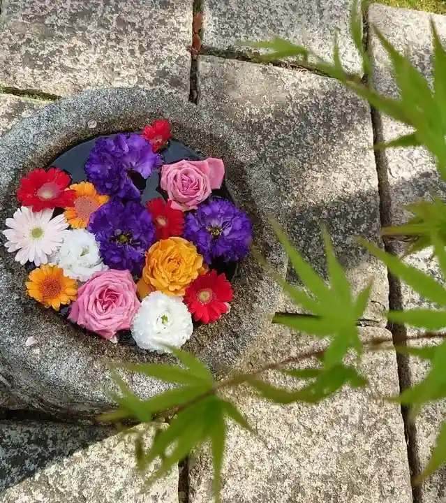 勝林寺(京都府)