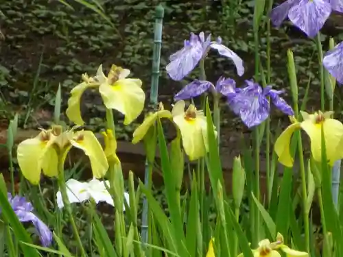 天台宗　長窪山　正覚寺の自然