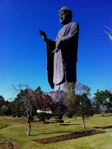 東本願寺本廟 牛久浄苑（牛久大仏）の仏像