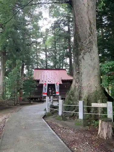向田神社(栃木県)