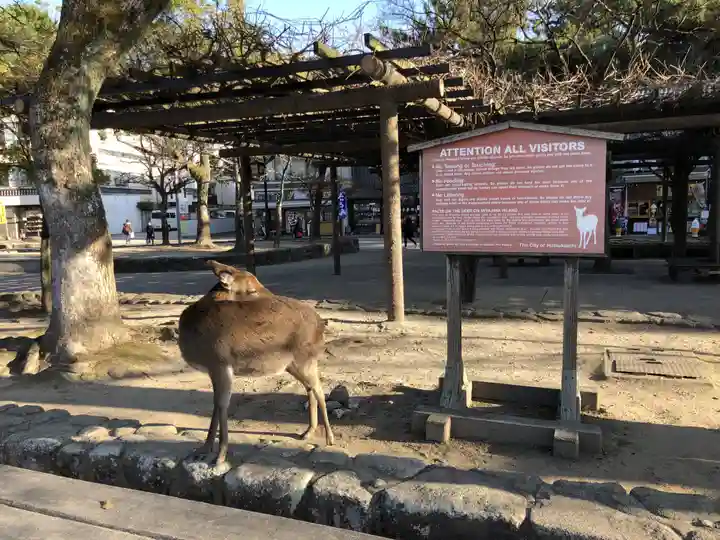 厳島神社(広島県)
