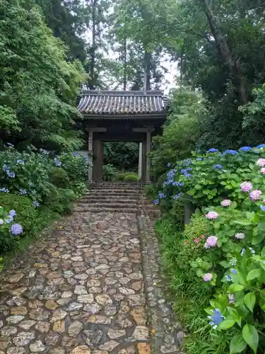 龍潭寺の山門