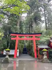 箱根神社の鳥居