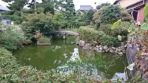 大雲院の庭園