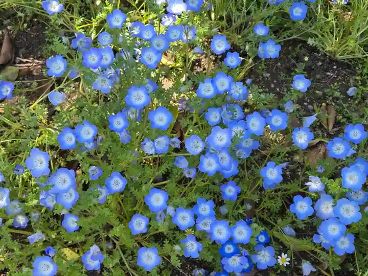 水天宮神社(大阪府)