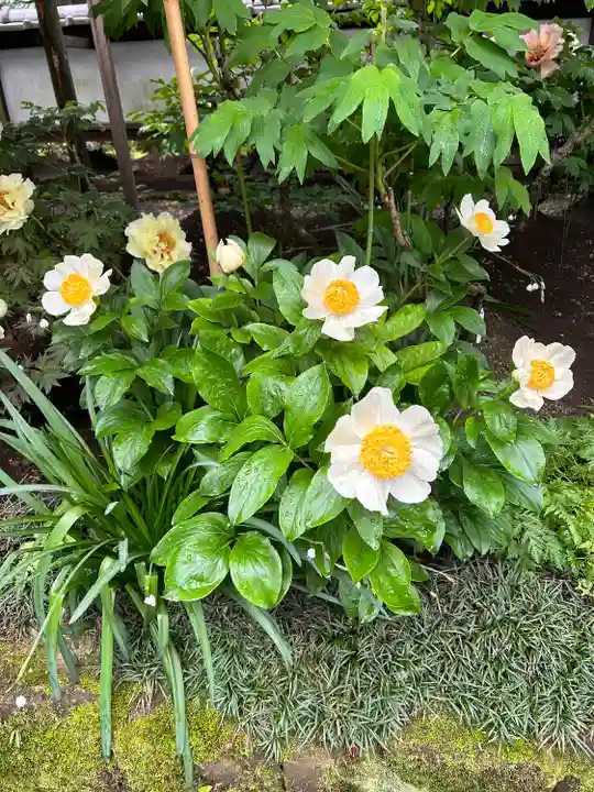 上野東照宮(東京都)