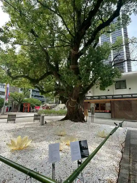 難波神社の{uncategorized: "未分類", other: "その他", undefined: "問題あり", building: "その他建物", grave: "お墓", sacred_gate: "鳥居", guardian: "狛犬", statue: "像", buddha: "仏像", history: "歴史", nature: "自然", garden: "庭園", animal: "動物", pagoda: "塔", temizu: "手水舎", mountain_gate: "山門・神門", sanctuary: "本殿・本堂", subordinate: "末社・摂社", art: "芸術", scenery: "景色", jizo: "地蔵", ema: "絵馬", goshuin: "御朱印", omikuji: "おみくじ", items: "授与品その他", amulet: "お守り", goshuincho: "御朱印帳", eats: "食事", festival: "お祭り", votive_dance: "神楽", shichigosan: "七五三参", wedding: "結婚式", experience: "体験その他", initially: "初詣", around: "周辺", anti_infection: "感染症対策"}
