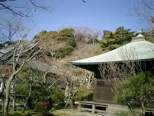 浄光明寺のその他建物