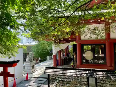 來宮神社(静岡県)